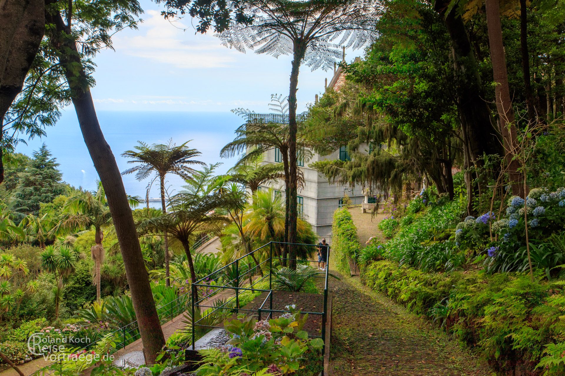 Madeira - Jardim Tropical Monte Palace oder Jardim Japonese